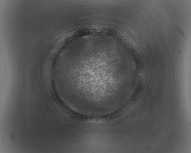 X0000116450961200912291944