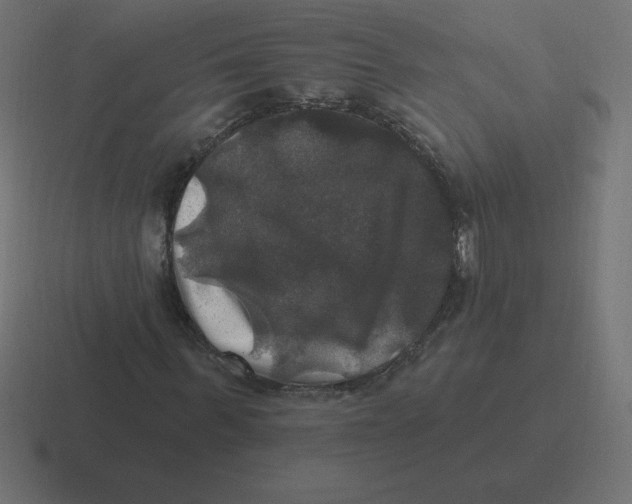 X0000116450963200912291944