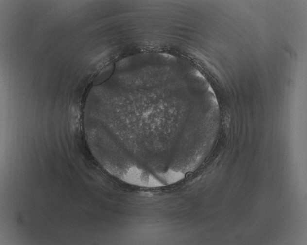 X0000116450964200912291944
