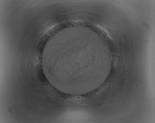 X0000116450966200912291944