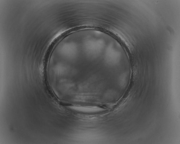 X0000116450975200912291944