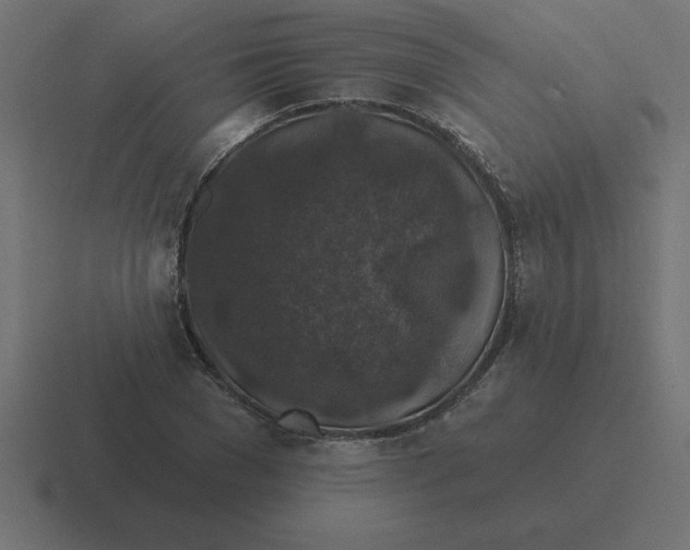 X0000116450977200912291944