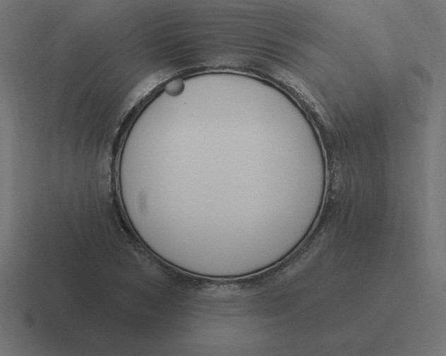X0000116450978200912291944