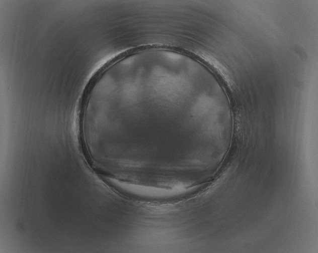 X0000116450983200912291944