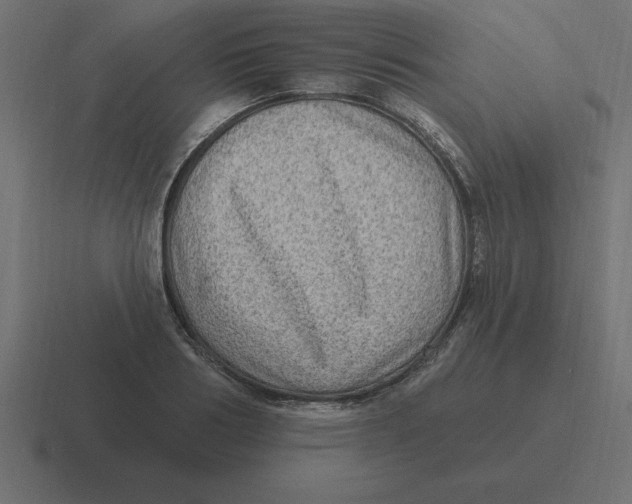 X0000116450986200912291944