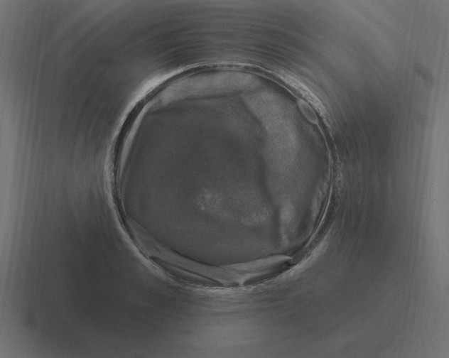 X0000116450989200912291944