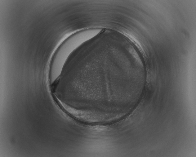 X0000116450992200912291944