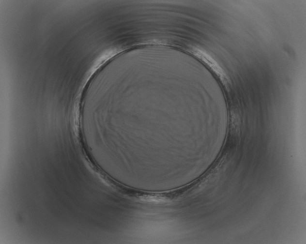 X0000116450994200912291944