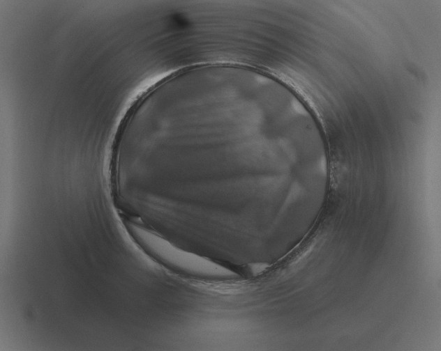X0000116450995200912291944