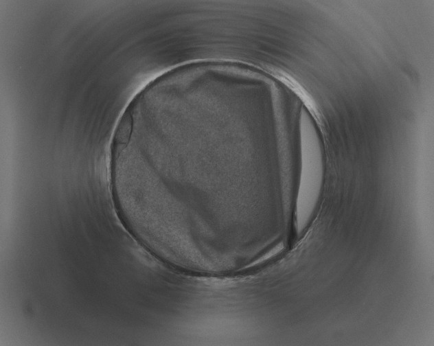 X0000116450996200912291944