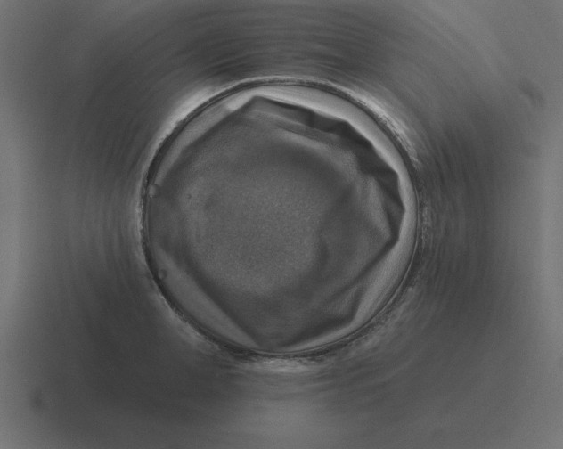 X0000116450998200912291944