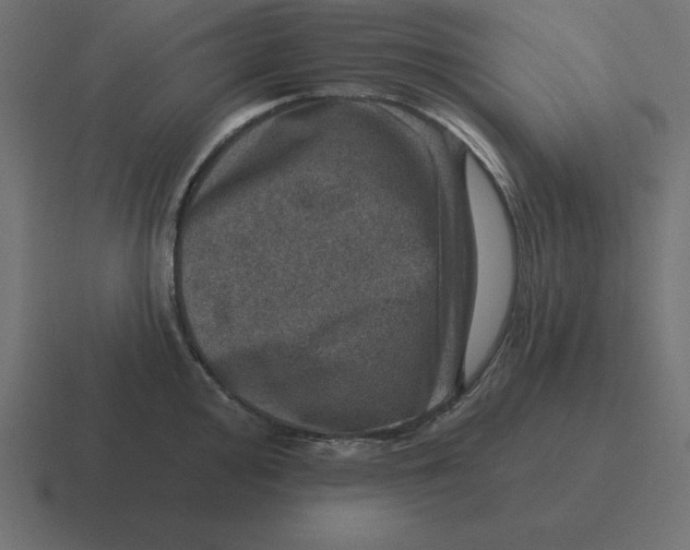 X0000116451000200912291944