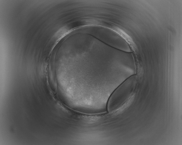 X0000116451001200912291944
