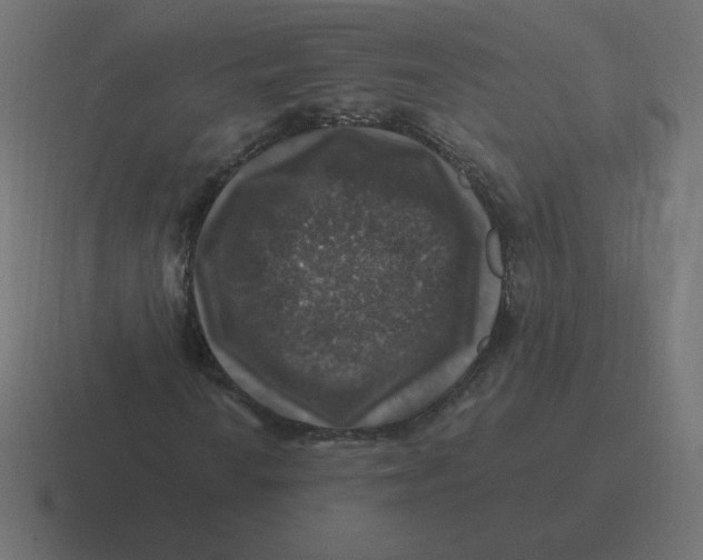 X0000116451010200912291943