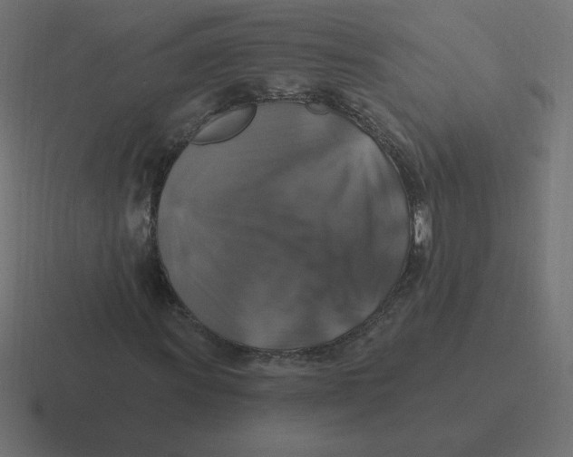 X0000116451011200912291943