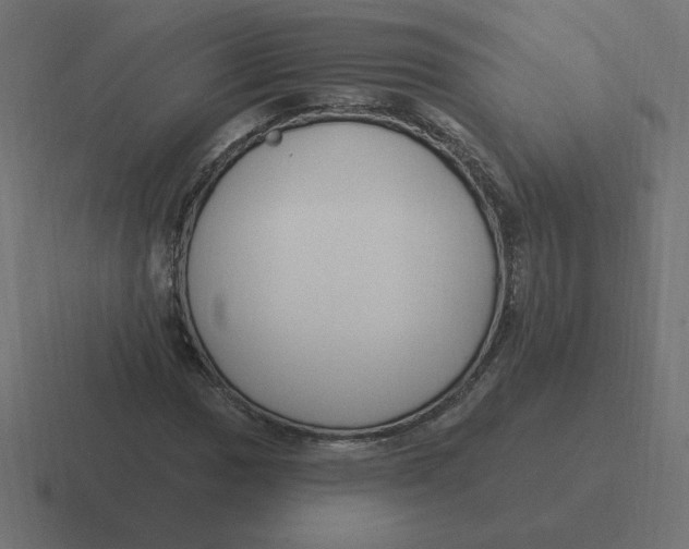 X0000116451017200912291943