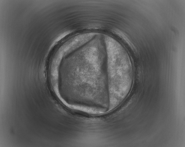 X0000116451018200912291943