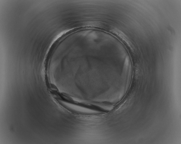 X0000116451024200912291943