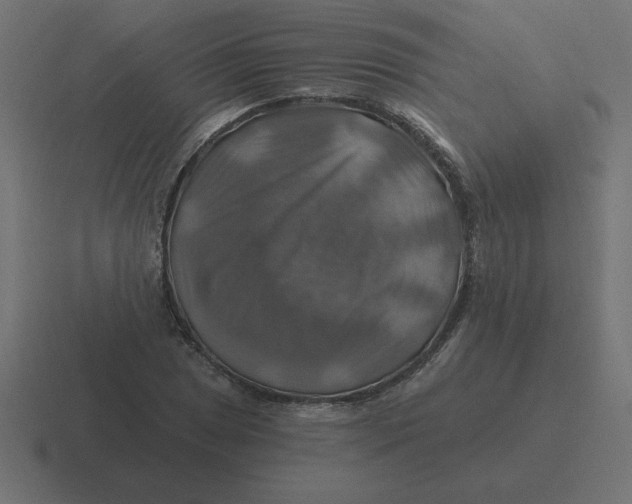 X0000116451025200912291943