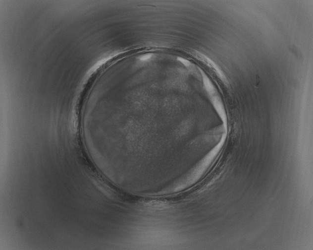 X0000116451027200912291943