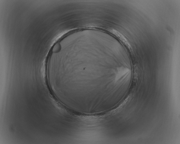 X0000116451031200912291943