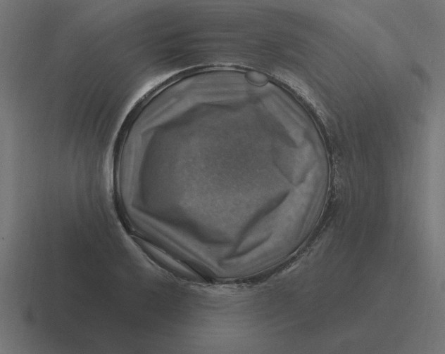 X0000116451032200912291943
