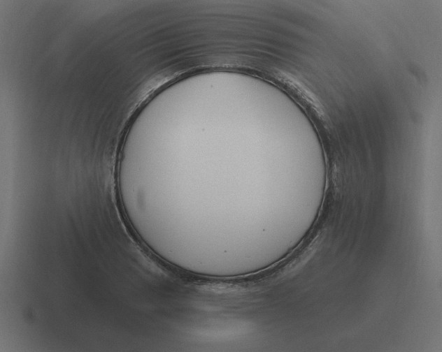 X0000116451033200912291943