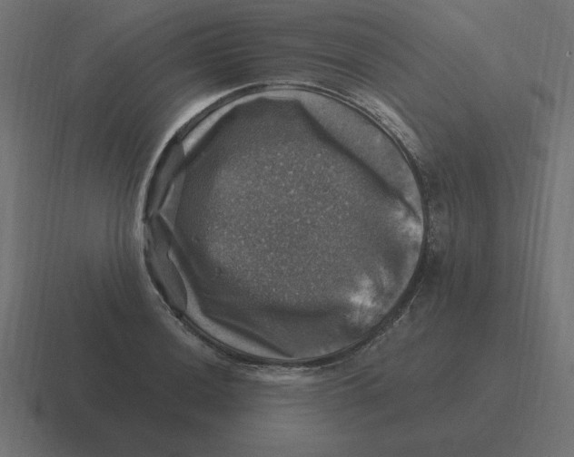 X0000116451036200912291943