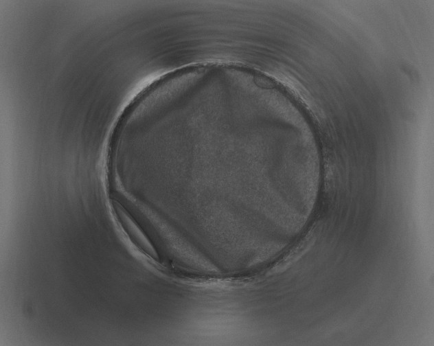 X0000116451038200912291943