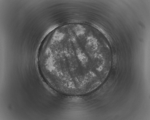 X0000116451042200912291943