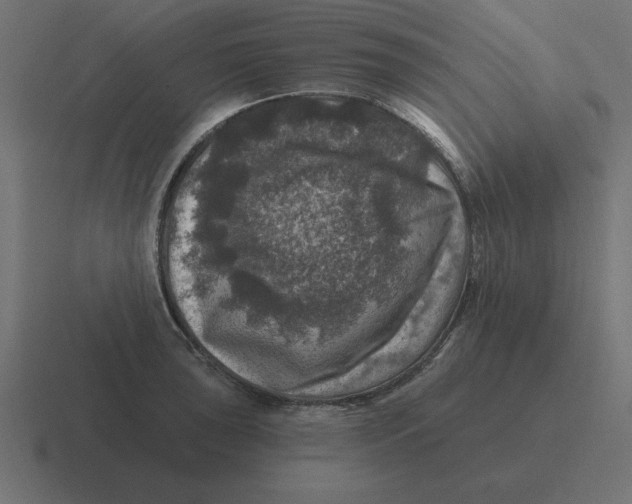 X0000116451043200912291943