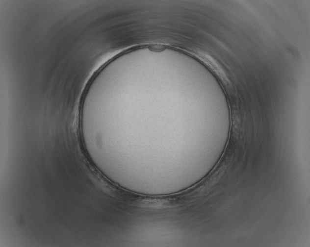 X0000116451044200912291943