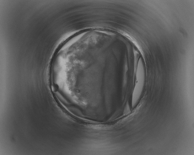 X0000116451045200912291943