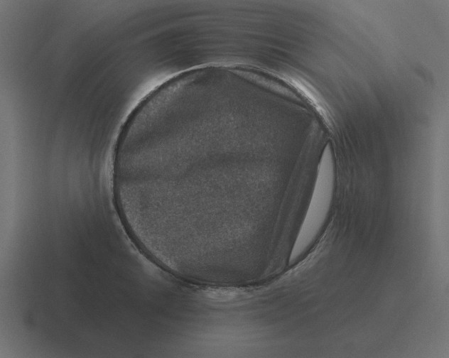 X0000116451046200912291943