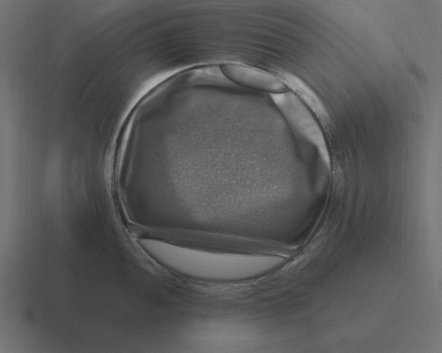 X0000116451052200912291943