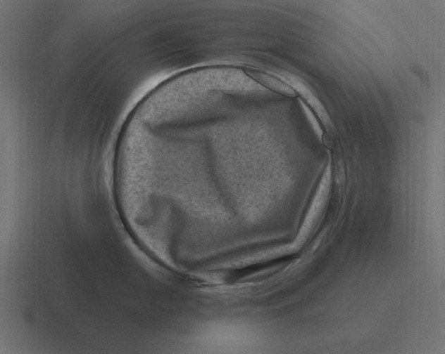 X0000116451054200912291944