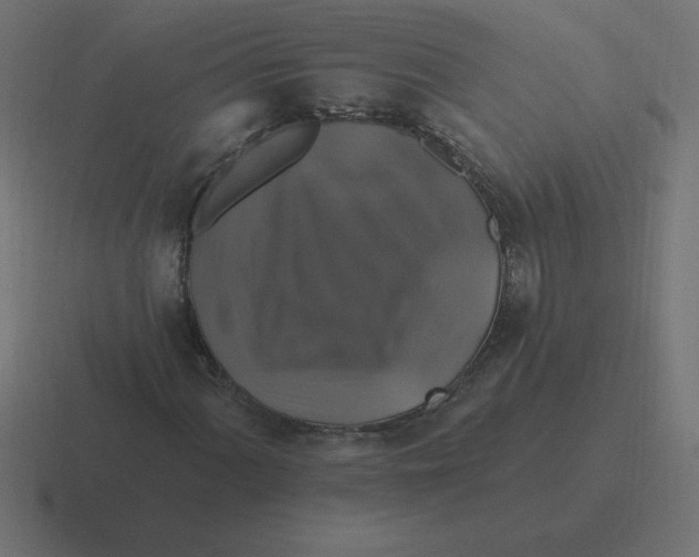 X0000116451060200912291943