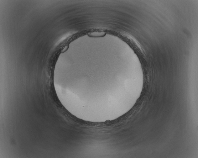 X0000116451064200912291943