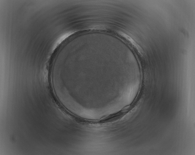 X0000116451066200912291943
