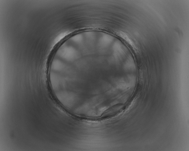 X0000116451071200912291943