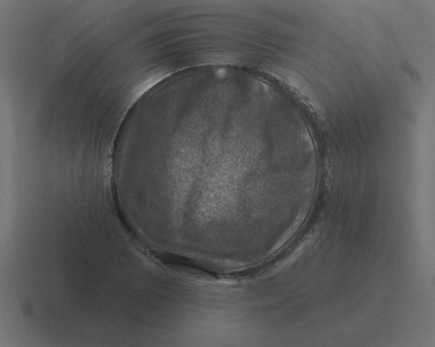 X0000116451073200912291943