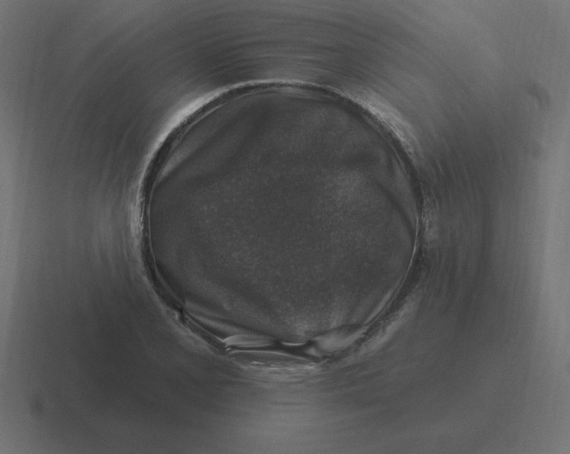 X0000116451077200912291943