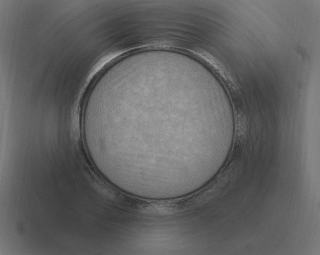 X0000116451078200912291943