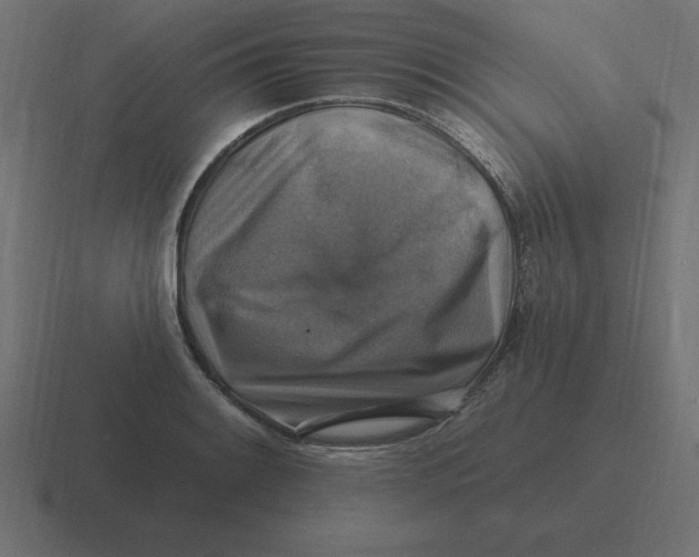 X0000116451084200912291943