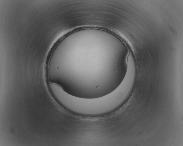 X0000116451085200912291943