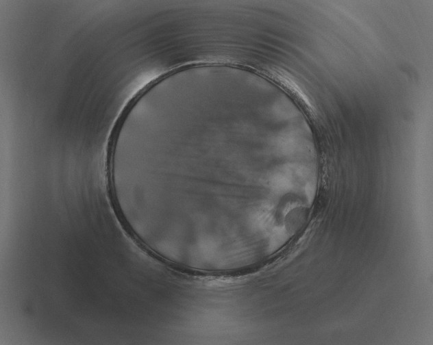 X0000116451087200912291943