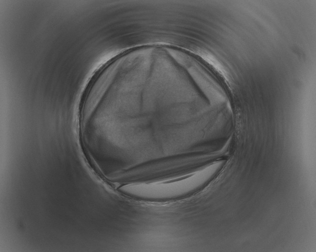 X0000116451088200912291943