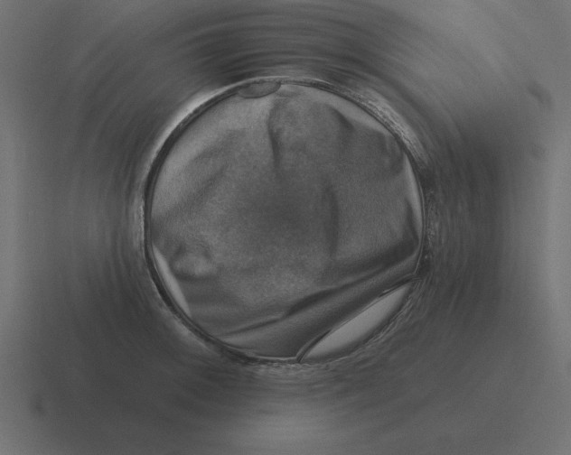 X0000116451092200912291942