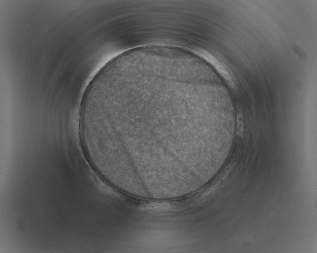 X0000116451094200912291942