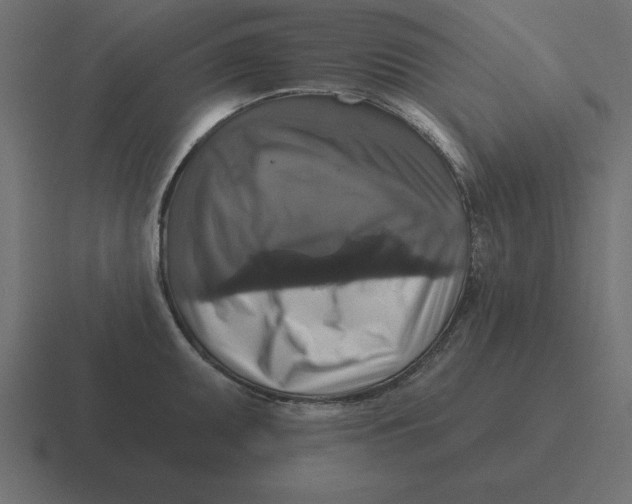 X0000116451095200912291942